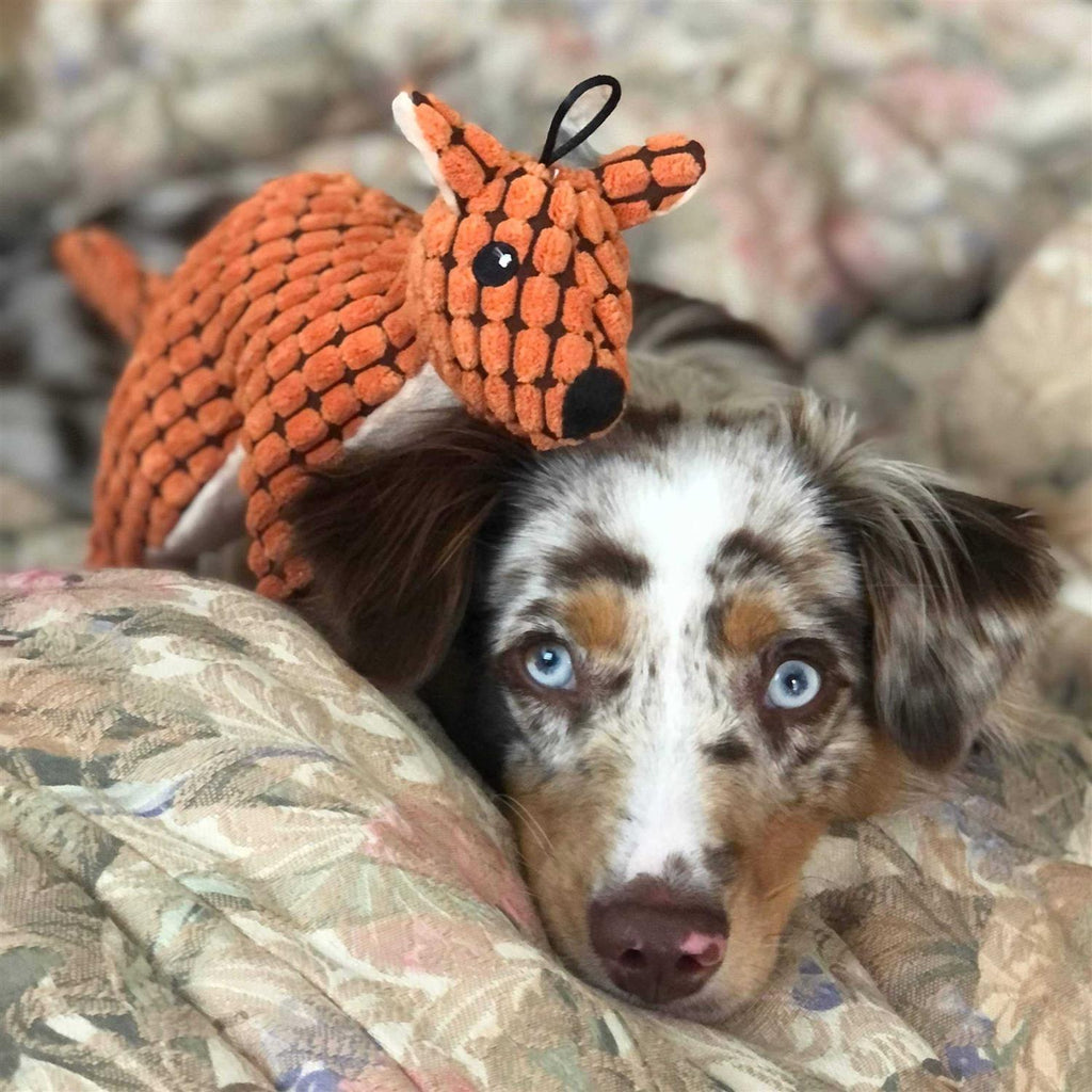 Stuffed Plush Squeaky Dog Toy D630330