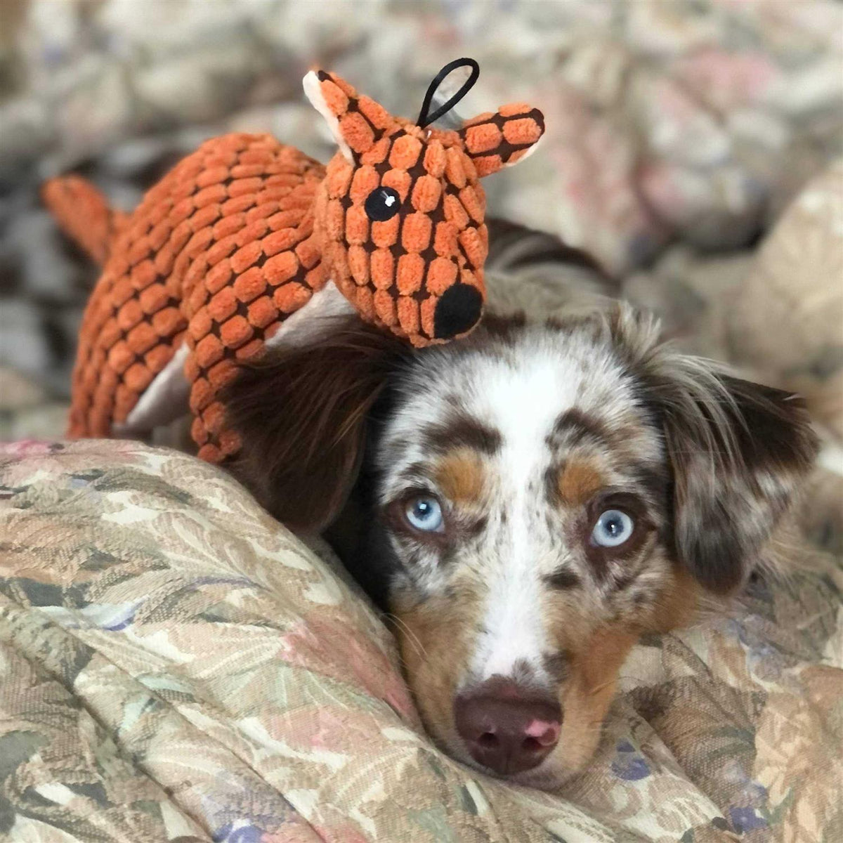 Stuffed Plush Squeaky Dog Toy D630330