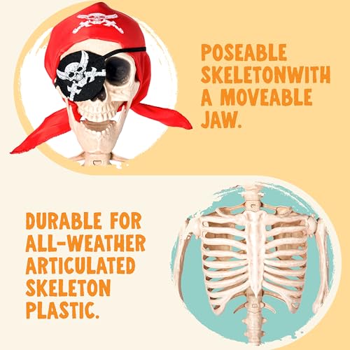 5 FT Life Size Posable Skeleton U33130