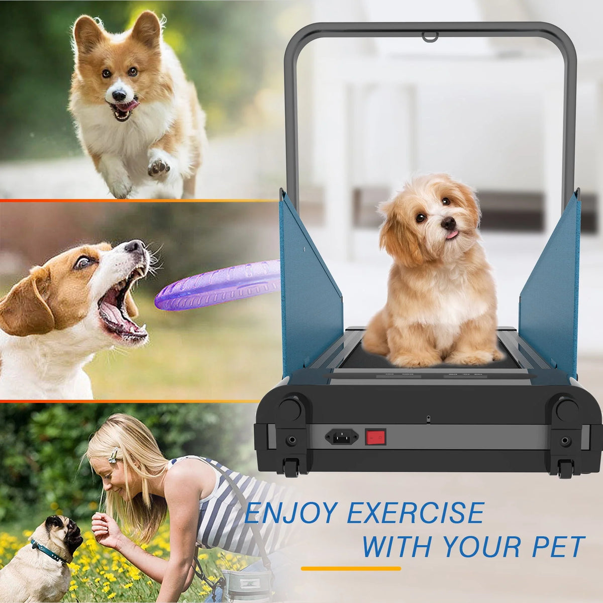 Dog Treadmill Small Dogs J42725