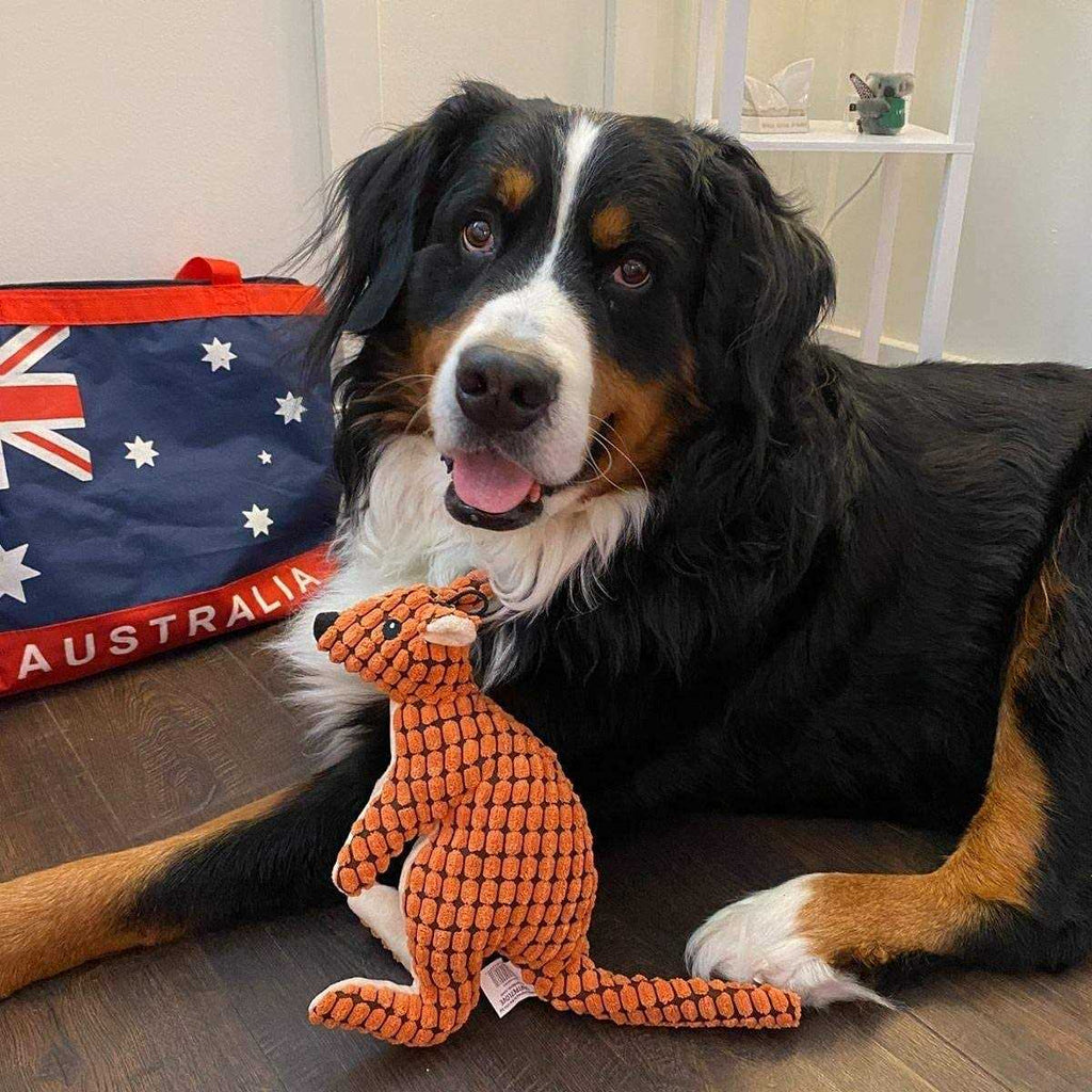 Stuffed Plush Squeaky Dog Toy D630330