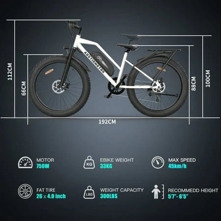 Electric Mountain Bike 750W 48V 13AH 26 4.0 inch Fat Tire R1472