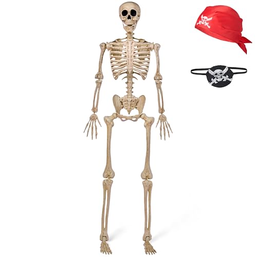 5 FT Life Size Posable Skeleton U33130