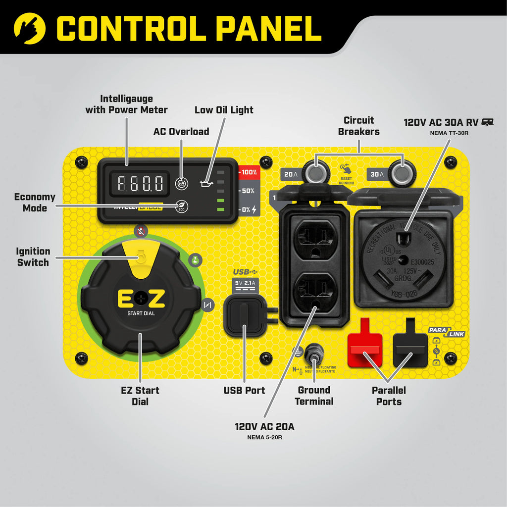 4500-Watt Portable Dual Fuel Inverter Generator F730