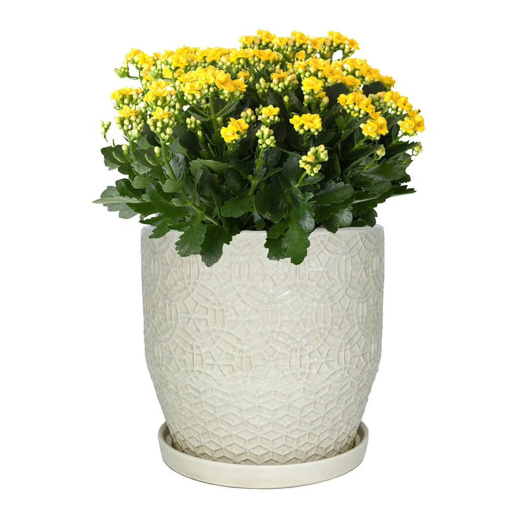 10" Round White Ceramic Planter V4887