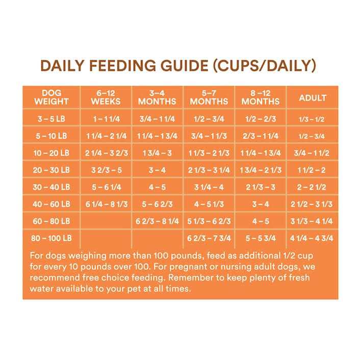 Chicken and Brown Rice Recipe Dry Puppy Food C796043