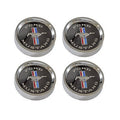 Black Set of 4 Steel Wheel Center Cap T506947