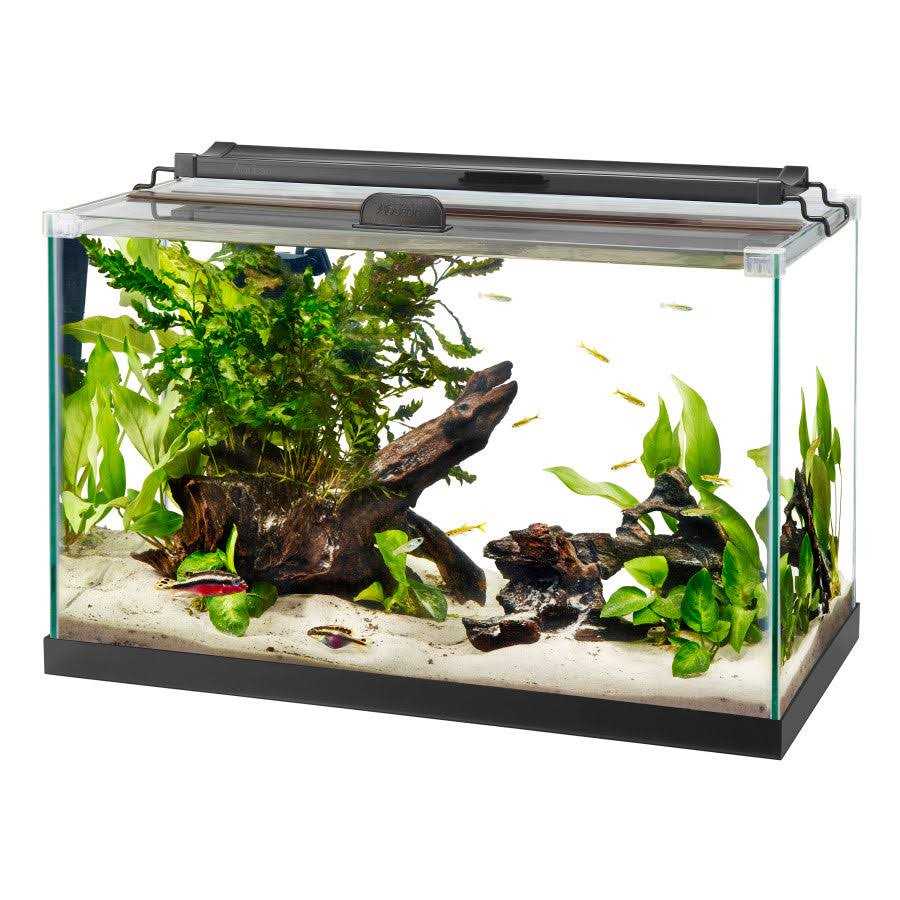 Rimless Rectangle Aquarium C570