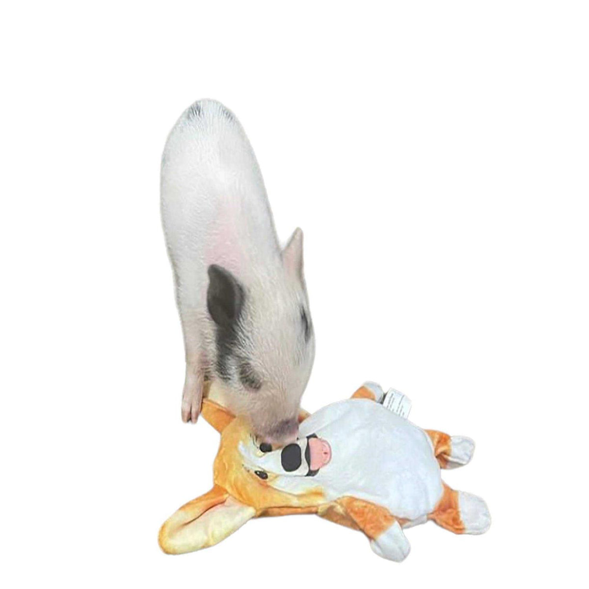 Corgi Paper Crinkle Squeaker Toy Y963
