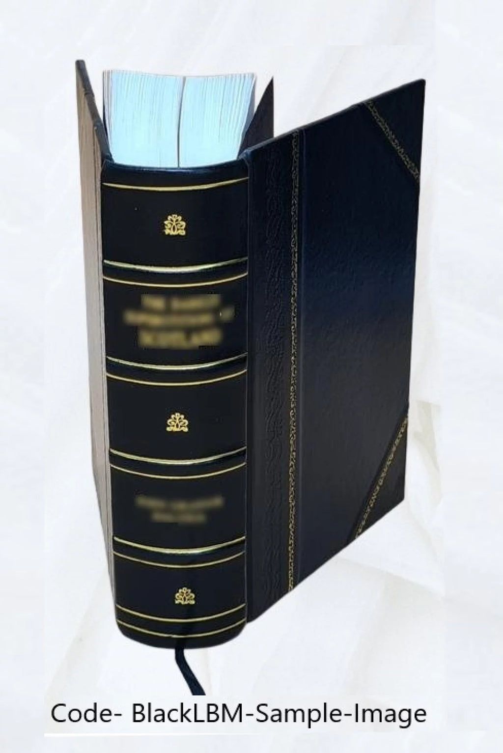 Leather Bound Book E903