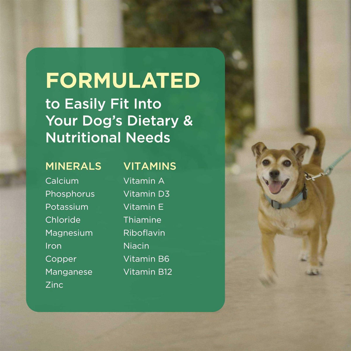 Pet Tabs for Dogs S3719