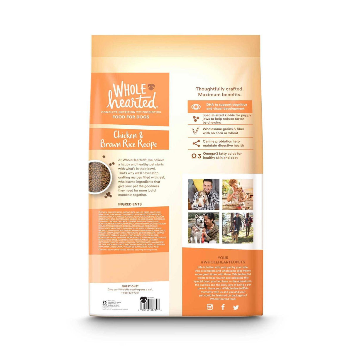 Chicken and Brown Rice Recipe Dry Puppy Food C796043