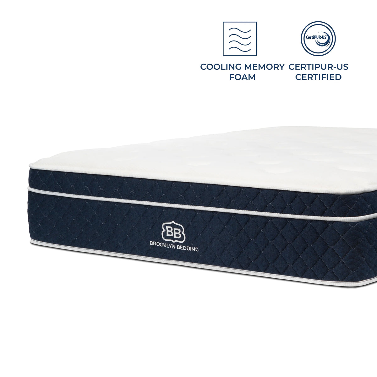 14 Plush Hybrid Mattress with Cooling Cover, Queen E870