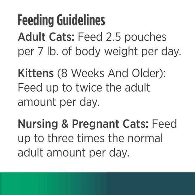 Chicken Cat Wet Food 2.8 oz B80087