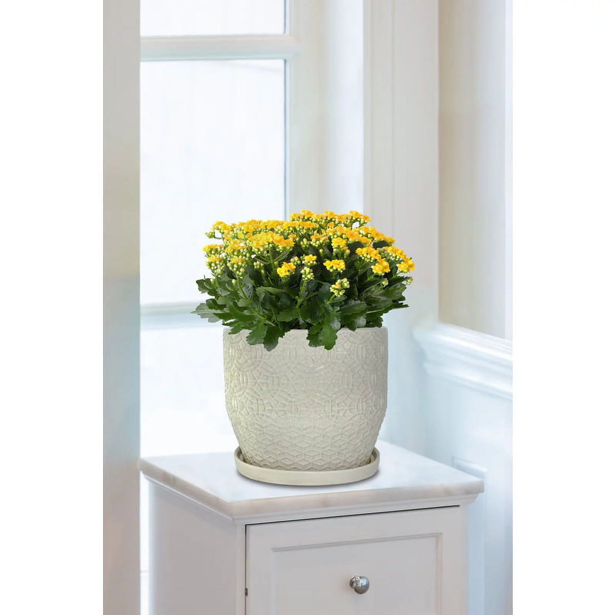 10" Round White Ceramic Planter V4887