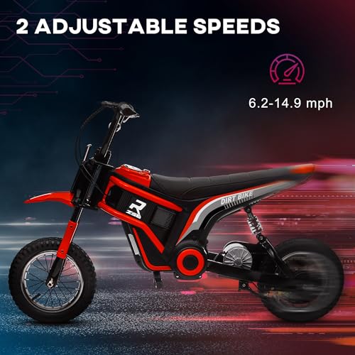 Electric Dirt Bike 24V 350W Off-Road Motorcycle Red B193578