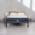 14 Plush Hybrid Mattress with Cooling Cover, Queen E870