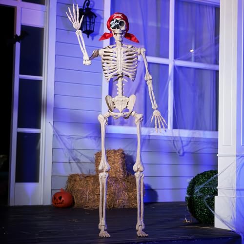 5 FT Life Size Posable Skeleton U33130