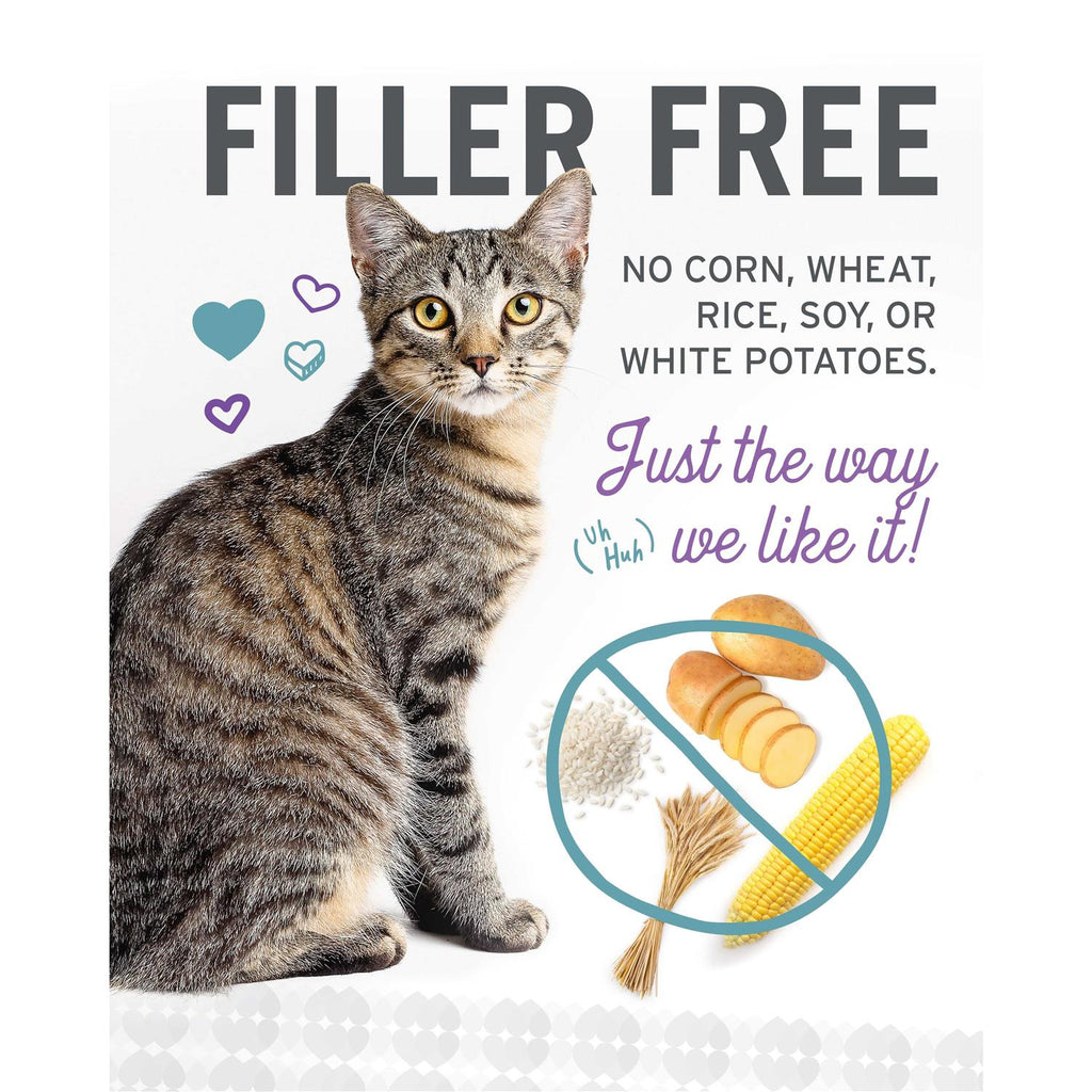 Grain Free Canned Cat Food V999