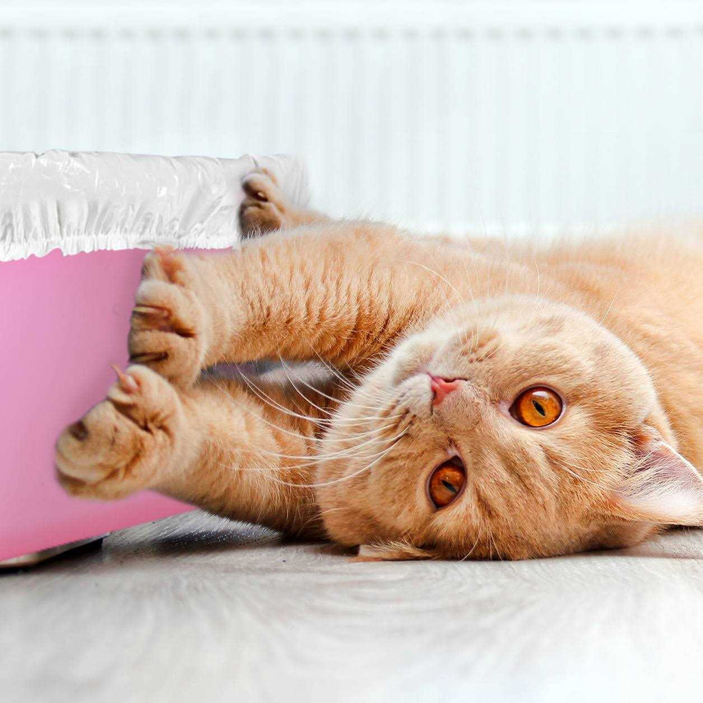 Cat Litter Box Disposable Elastic Liners X9817