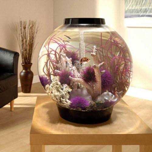biOrb CLASSIC Collection H76088