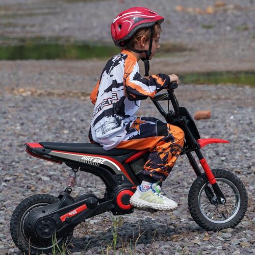 Electric Dirt Bike 24V 350W Off-Road Motorcycle Red B193578