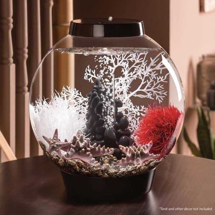 biOrb CLASSIC Collection H76088