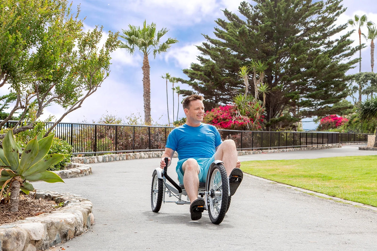 3-Wheeled Cruiser D6846