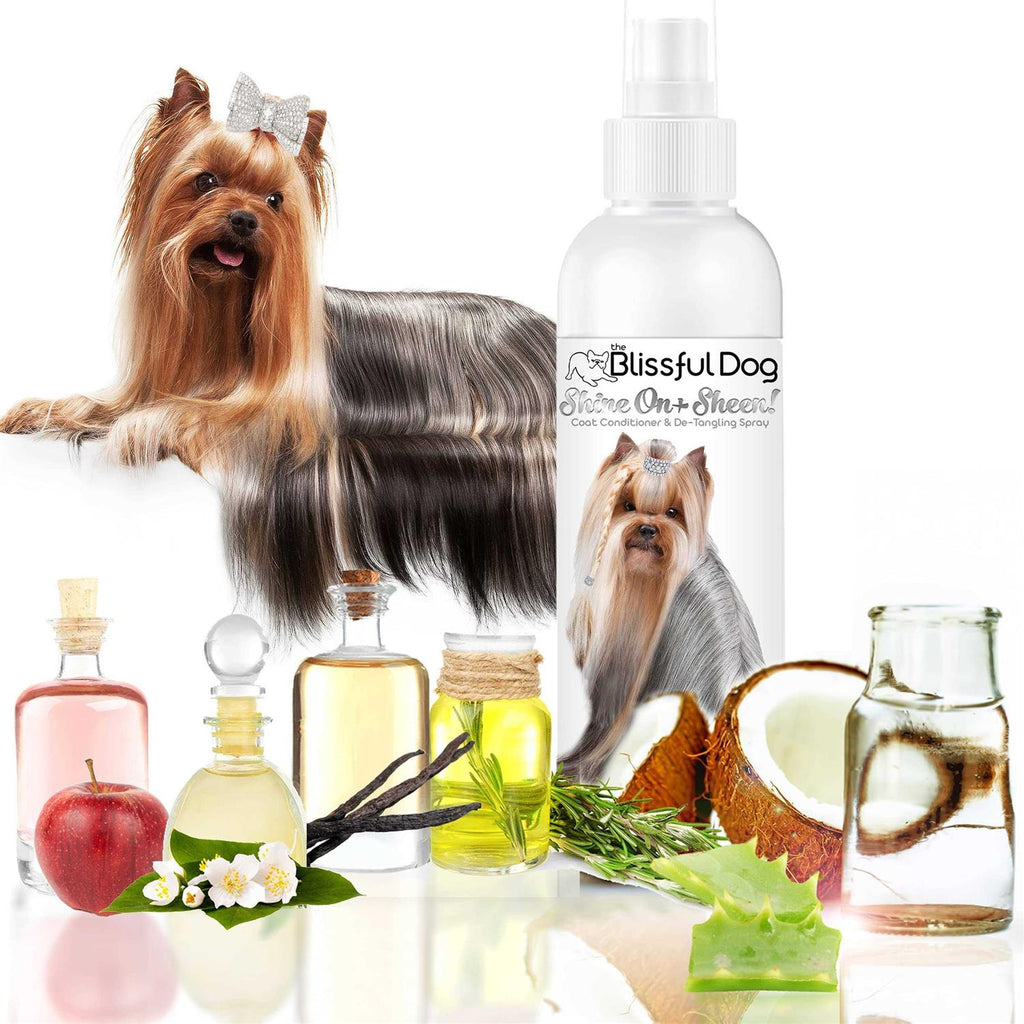 All Natural Leave-in Conditioner and Coat Detangler Dog Spray X3133