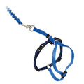 Come with Me Kitty Harness Bungee Leash N6015