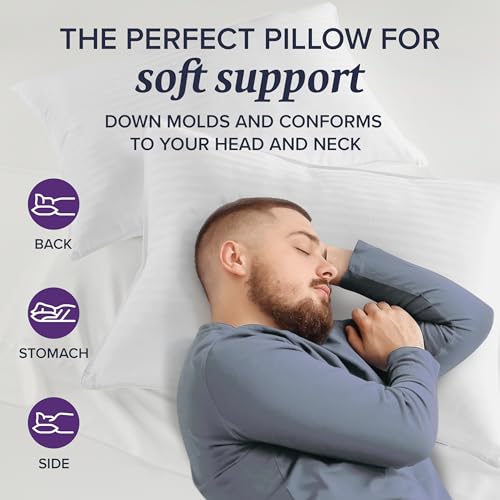 Queen Size Set of 2 Down Bed Pillows V728
