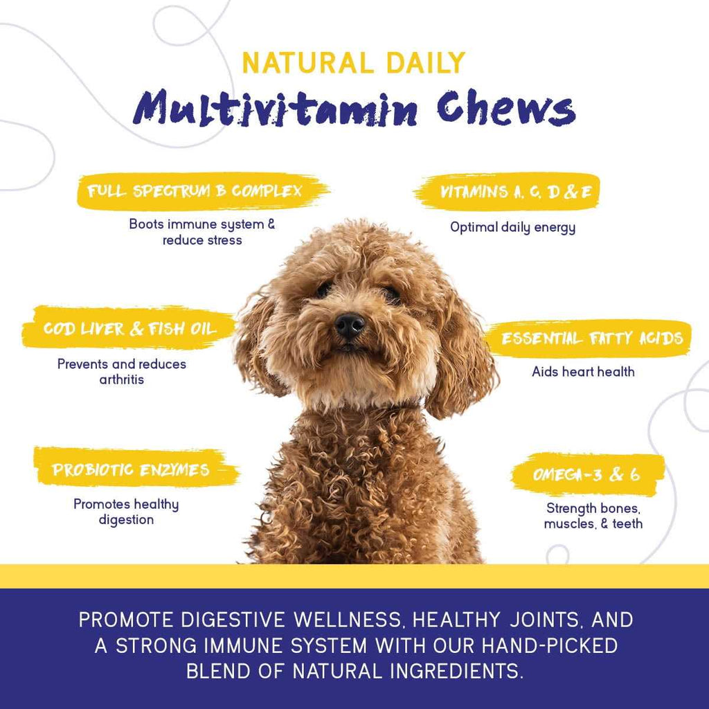 Multivitamin Chew M166614