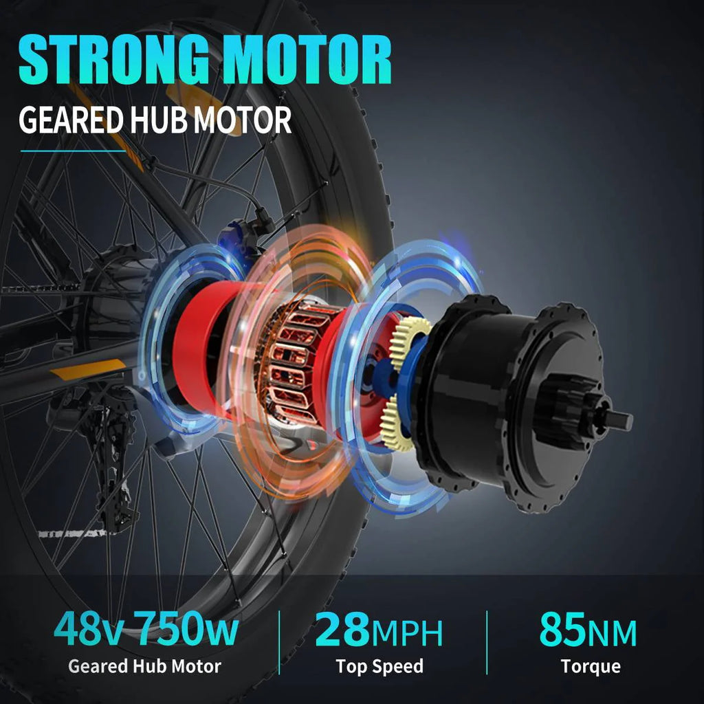 Electric Mountain Bike 750W 48V 13AH 26 4.0 inch Fat Tire R1472