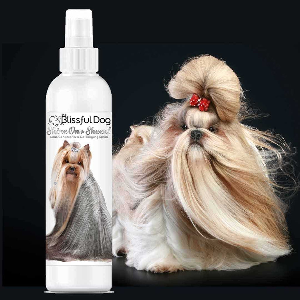 All Natural Leave-in Conditioner and Coat Detangler Dog Spray X3133