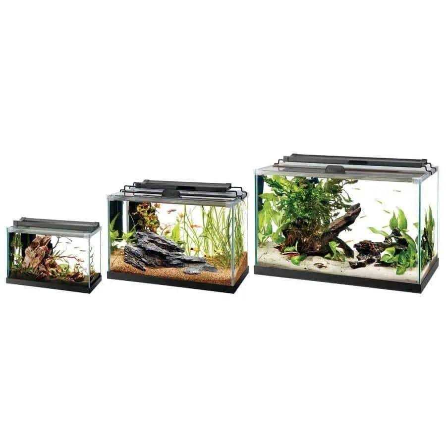 Rimless Rectangle Aquarium C570