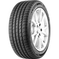 225/45R18 95W XL Tire P63553