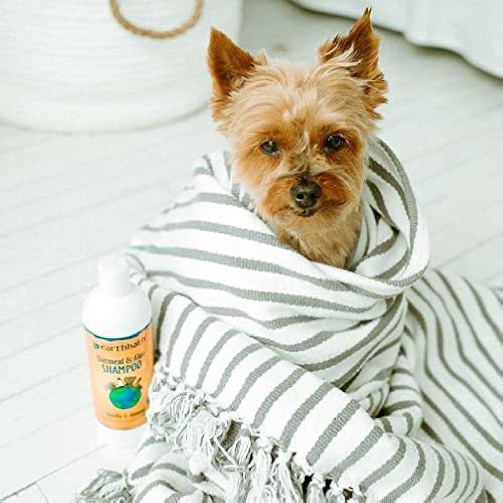 Mango Tango 2-in-1 Conditioning Shampoo A76283