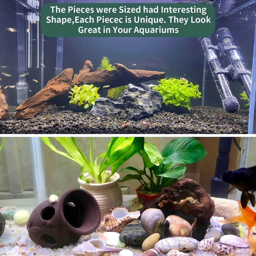 5Pcs Natural Aquarium Driftwood Branches C3251