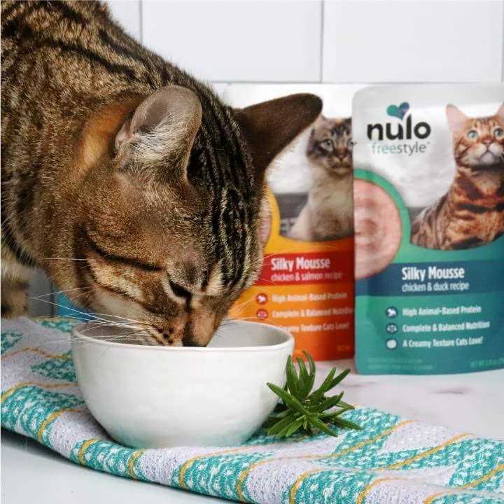 Chicken Cat Wet Food 2.8 oz B80087