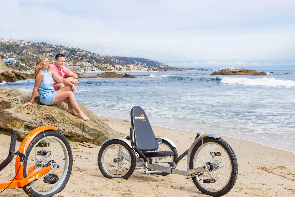 3-Wheeled Cruiser D6846