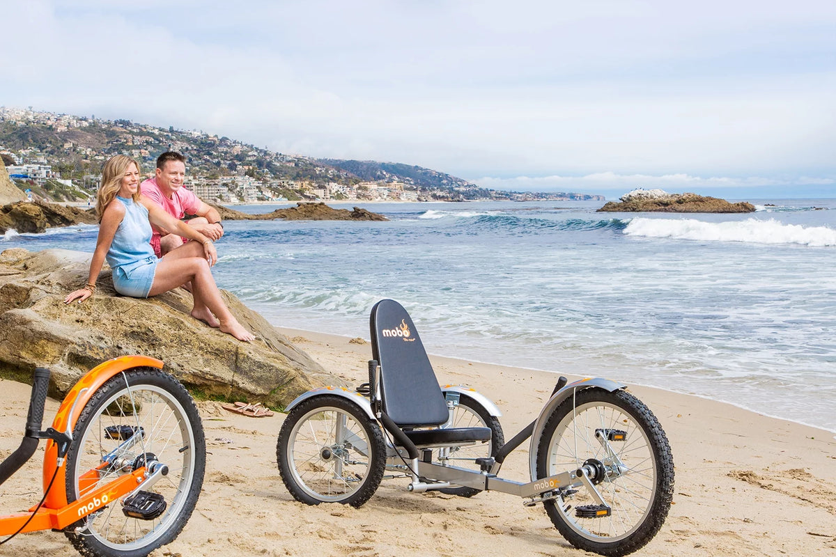 3-Wheeled Cruiser D6846
