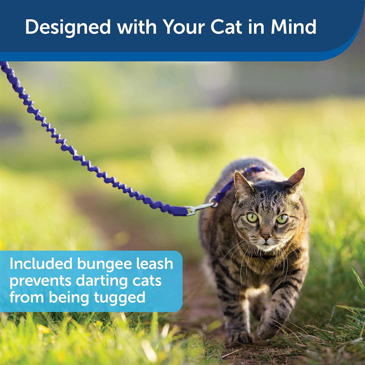 Come with Me Kitty Harness Bungee Leash N6015