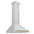 30 Inch Stainless Steel Range Hood with Champagne Bronze Handle X4883