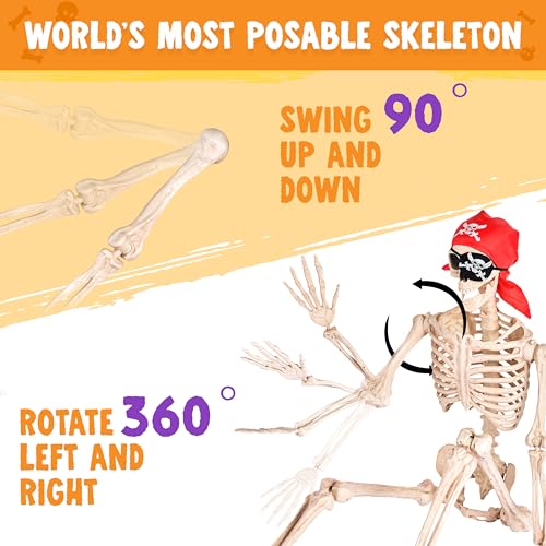 5 FT Life Size Posable Skeleton U33130
