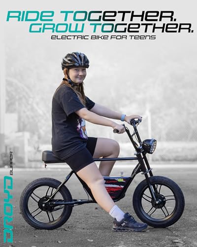 Electric Bike for Kids 13+, 250W, 24V Lithium-Ion Battery, 16" Tires L822561