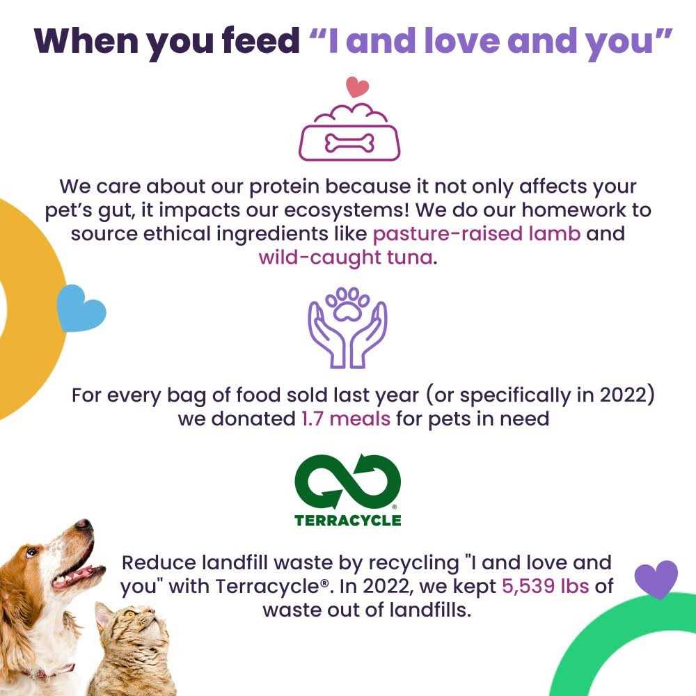 Grain Free Canned Cat Food V999