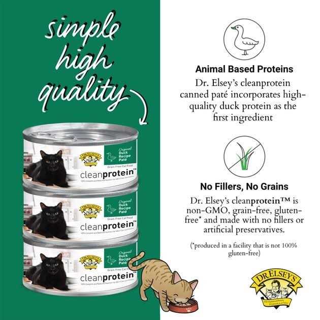 Wet Cat Food B7483