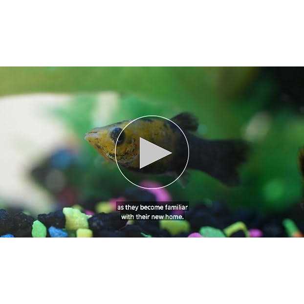 20 Gallon LED Aquarium Kit O5433
