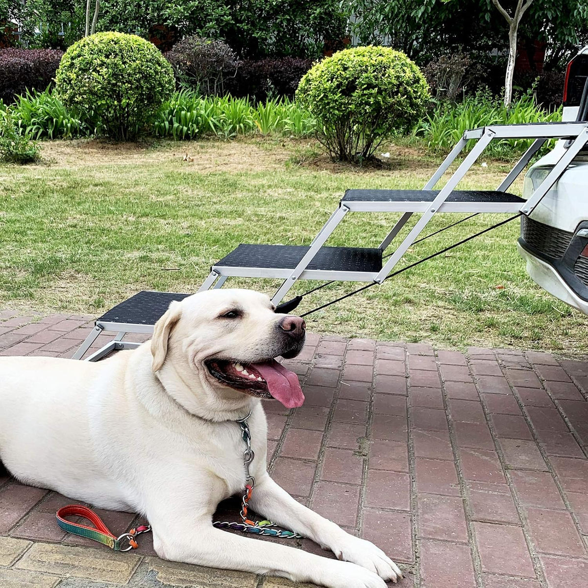 Folding 6 Steps Pet Dog Car Stairs E95152