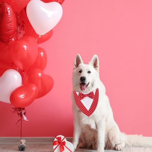 Red Plaid Dog Christmas Collar with Bowtie O83911